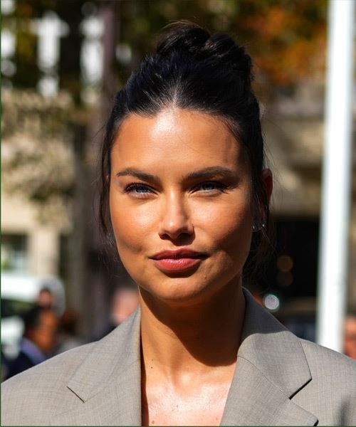 Adriana Lima Updo Hairstyle